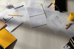 Thesis Outline and Section Descriptions